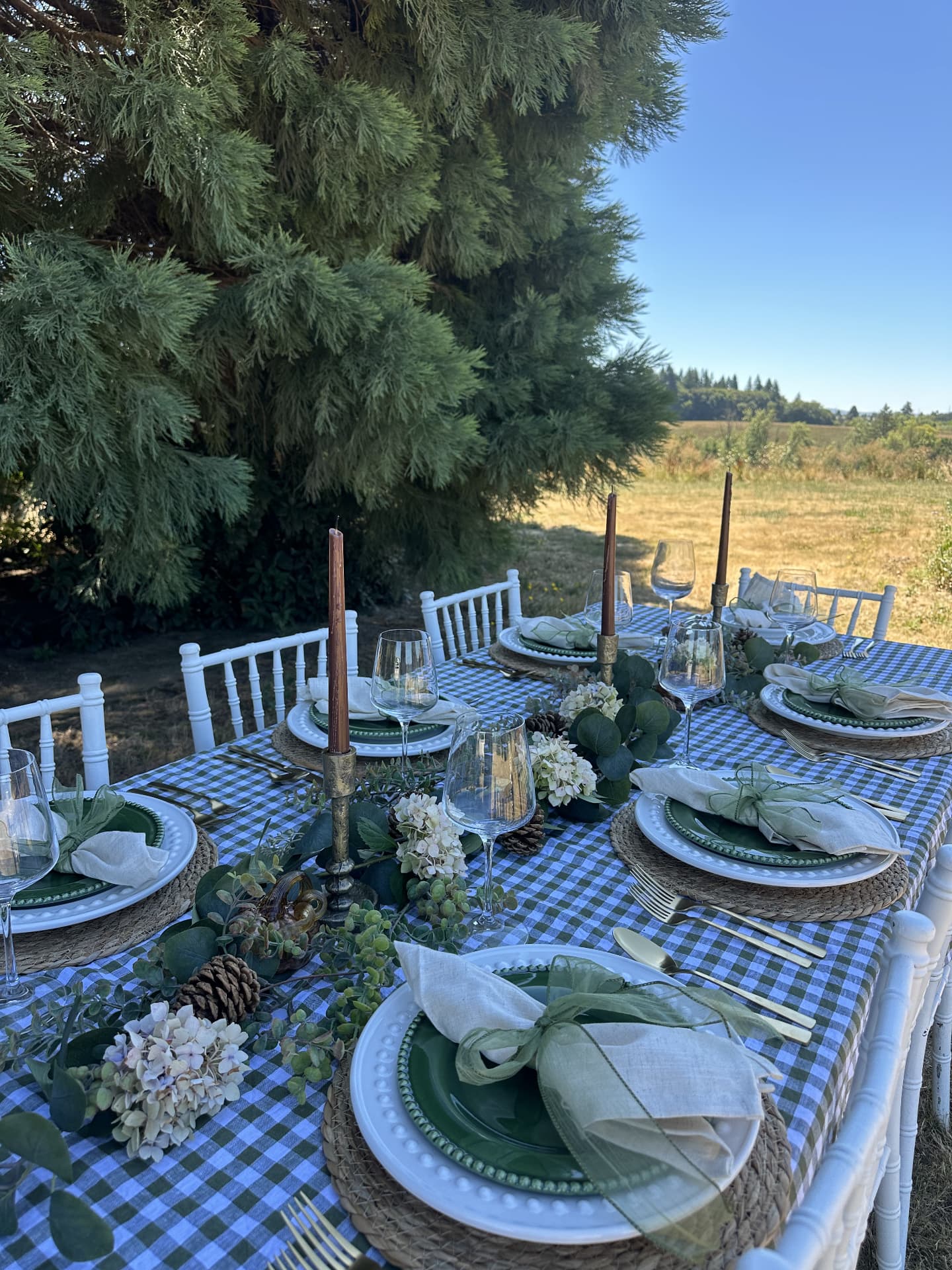 A beautifully styled outdoor tablescape with green gingham linens, white chiavari chairs, and evergreen details